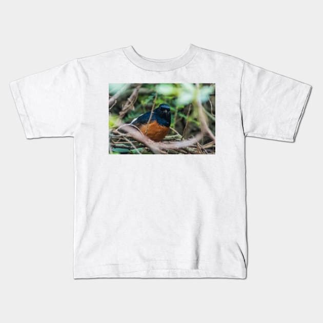 White-rumped shama Kids T-Shirt by KensLensDesigns